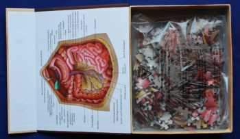 Zubehör: Dr. Livingstons Anatomiepuzzle Teil 3